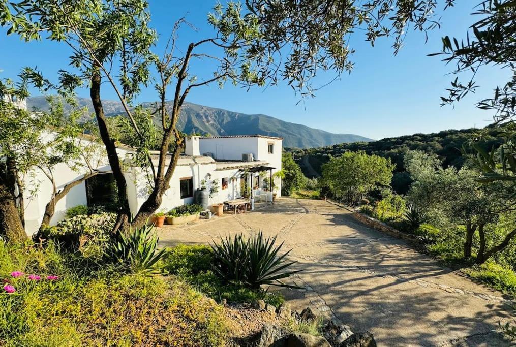 Villa Almond Hill House Orgiva Exterior foto